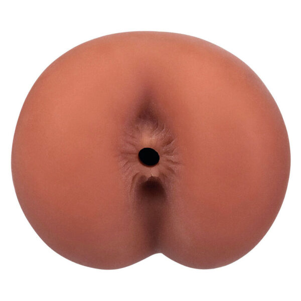 CALEXOTICS - BOUNDLESS NUS BROWM - Image 2