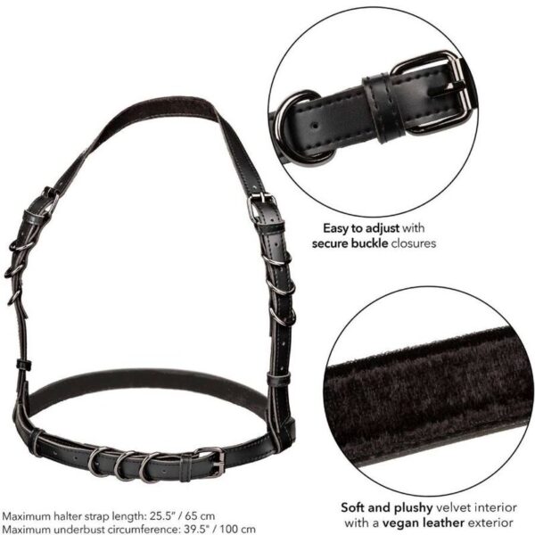 CALEXOTICS - EUPHORIA ARNÊS DE FIVELA HALTER PRETO - Image 5