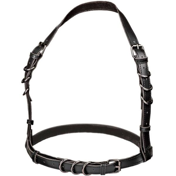 CALEXOTICS - EUPHORIA PLUS SIZE HALTER FIVELA ARNÊS PRETO - Image 4